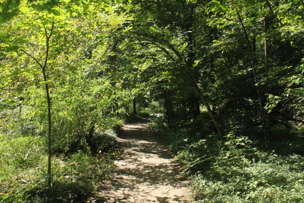 Photo: Quiet Hike Photo: Quiet Hike