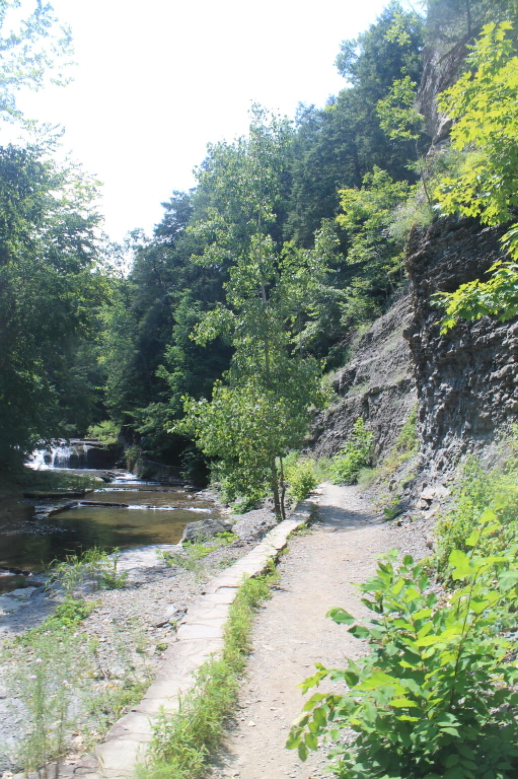 Photo: Along Enfield Creek Photo: Along Enfield Creek