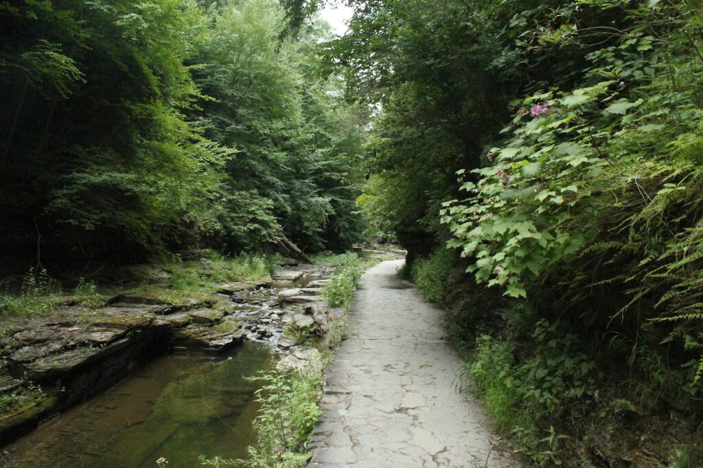 Photo: Upper Gorge Trail