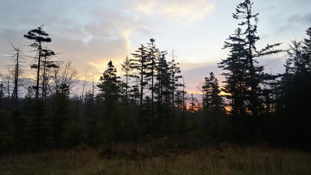 Photo: Evening up in the Canaan Heights