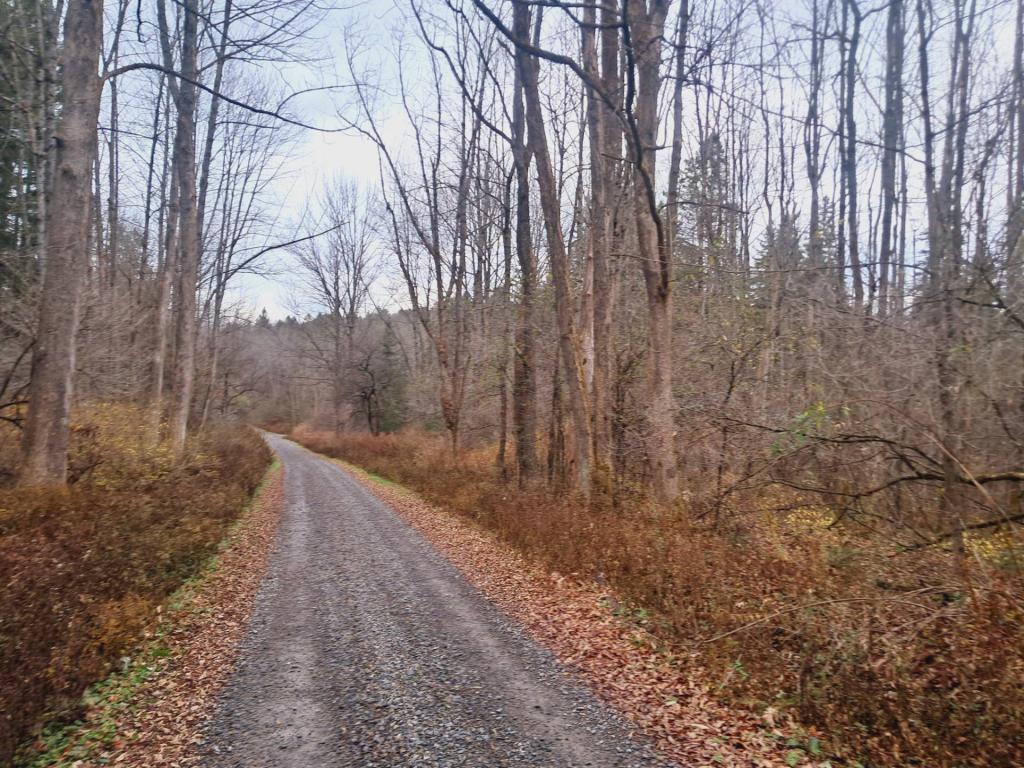 Photo: Untitled