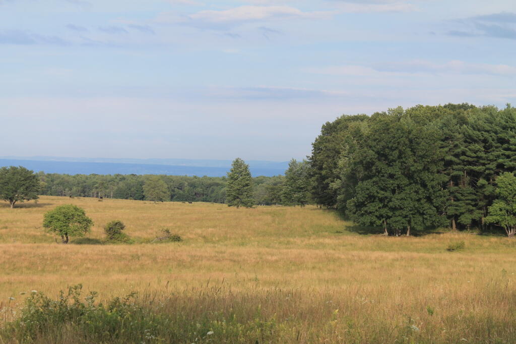 Photo: Field