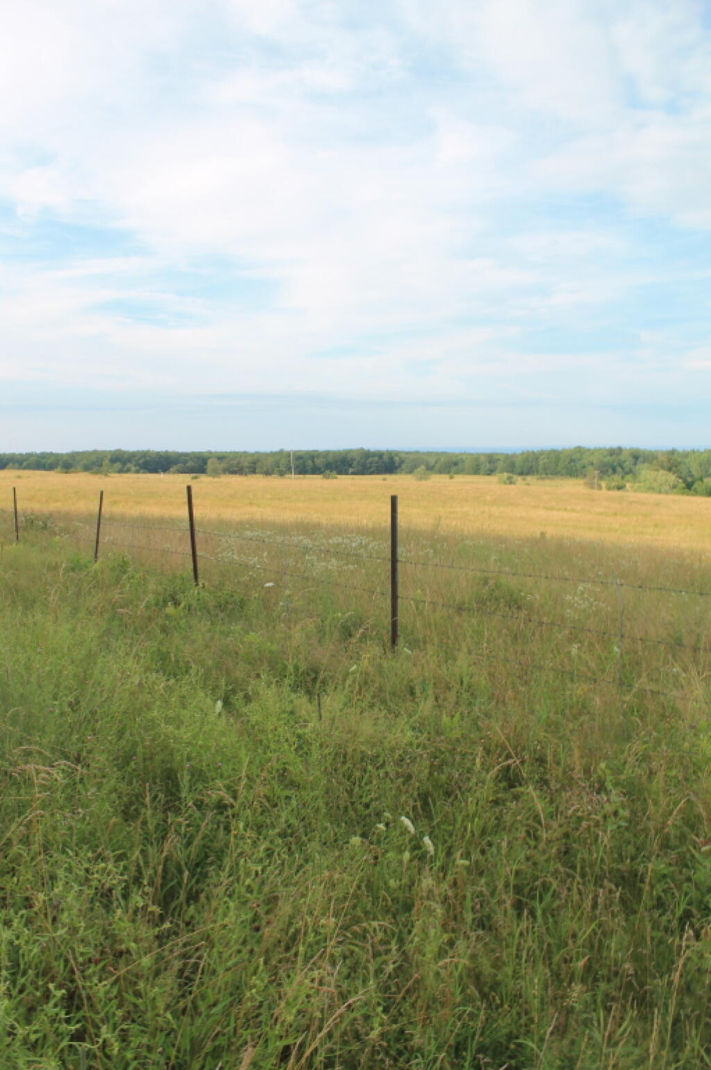 Photo: Ballard Pasture Looking North-East