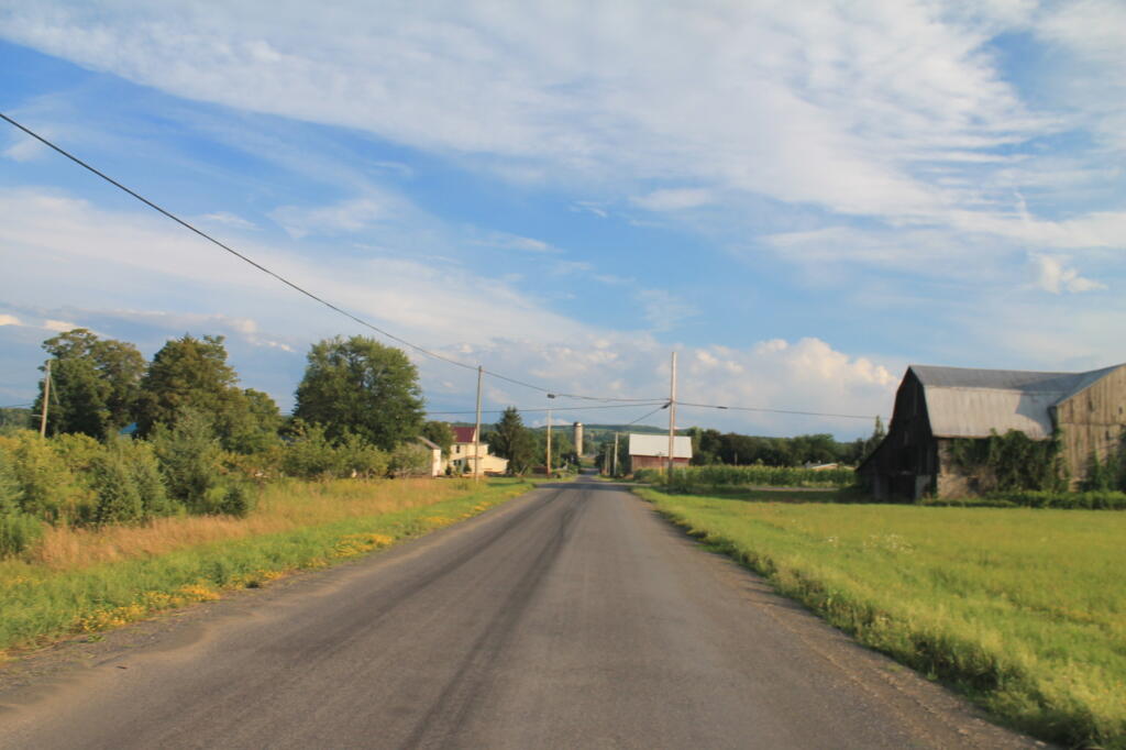 Photo: Grove at Chicken Coop Road