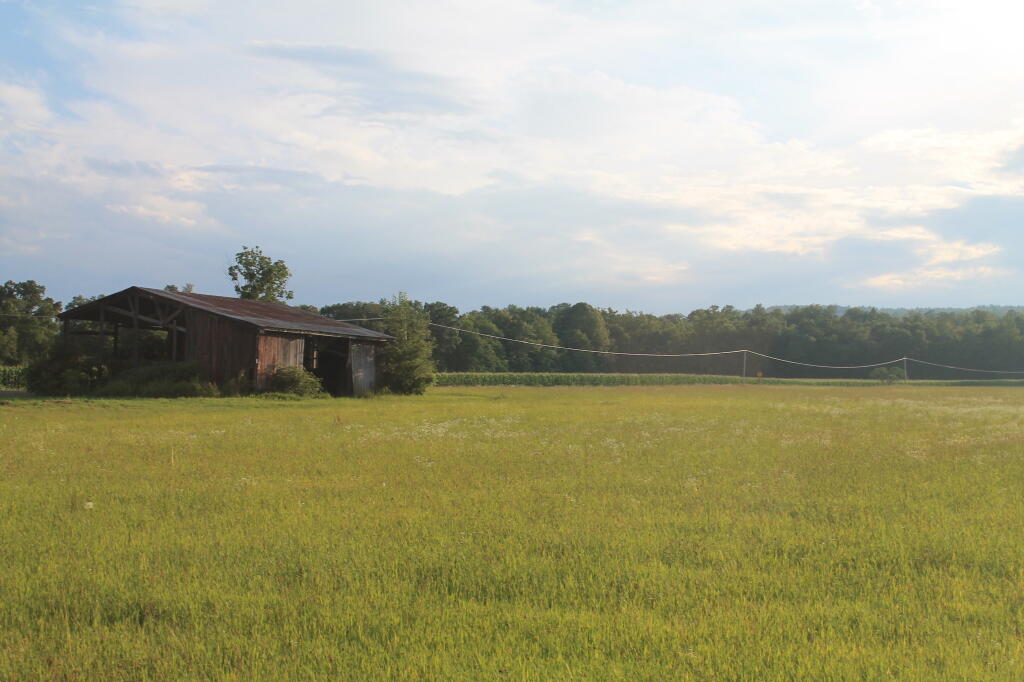 Photo: Field