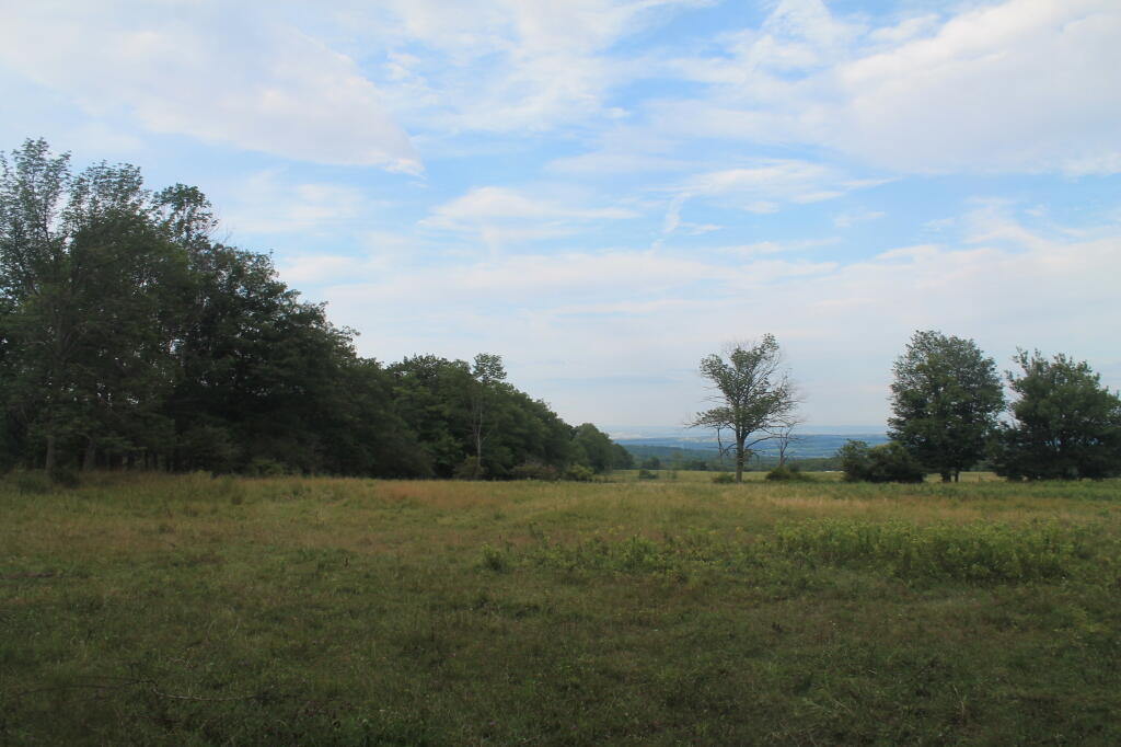 Photo: Pasture Off Chicken Coop Road