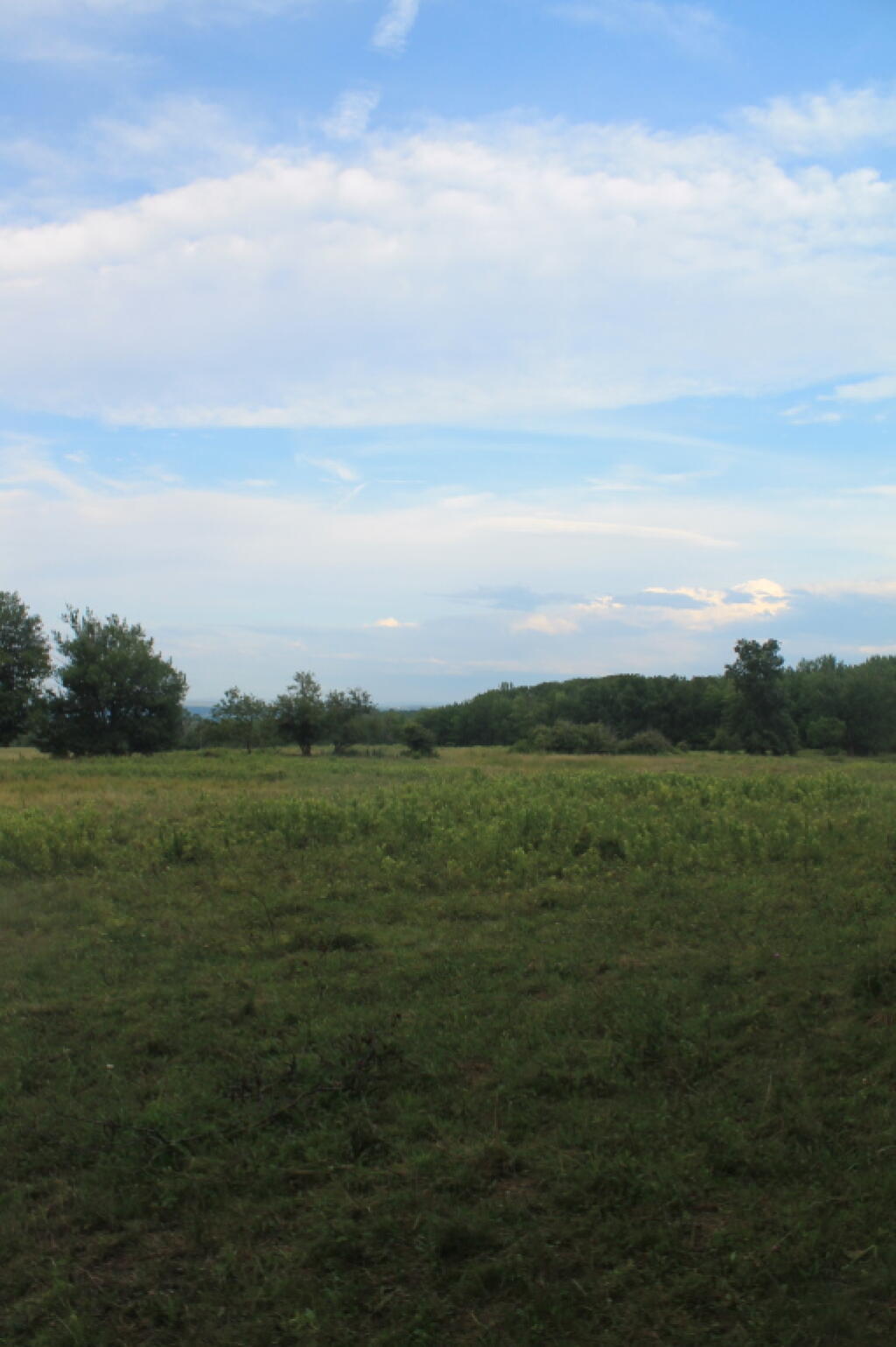 Photo: Photo.2013.07.20 20.28.24