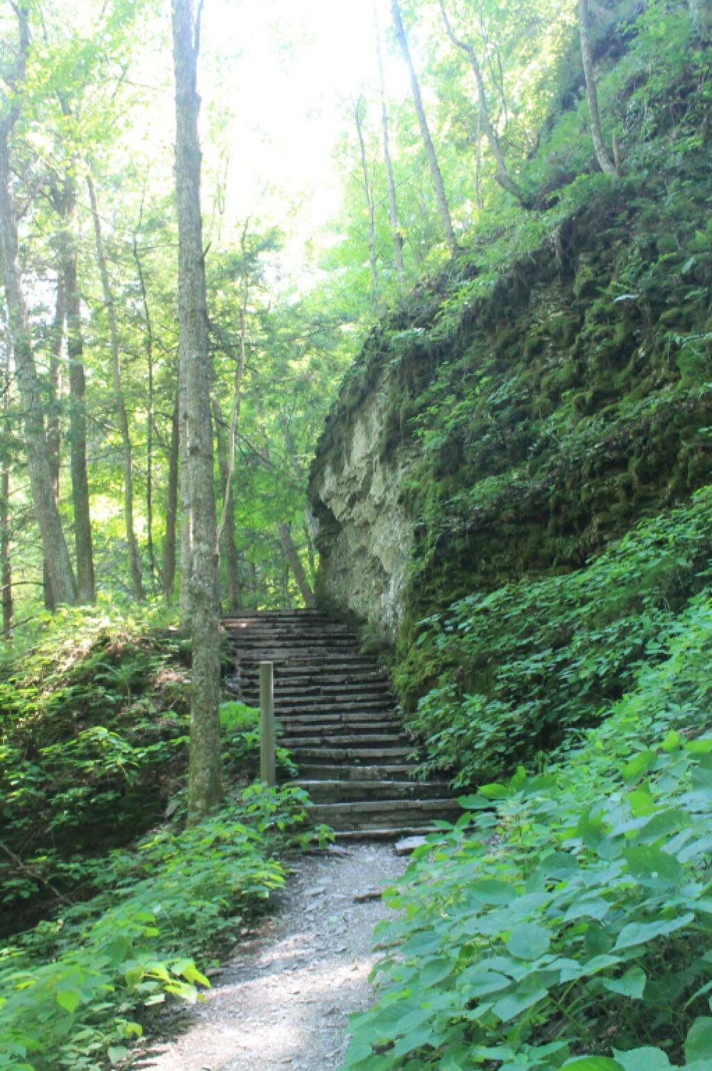 Photo: Bottom of the Stairs Photo: Bottom of the Stairs