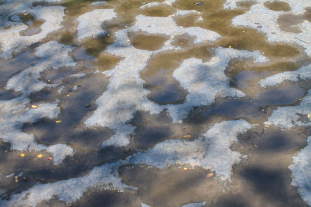 Photo: Riverbed