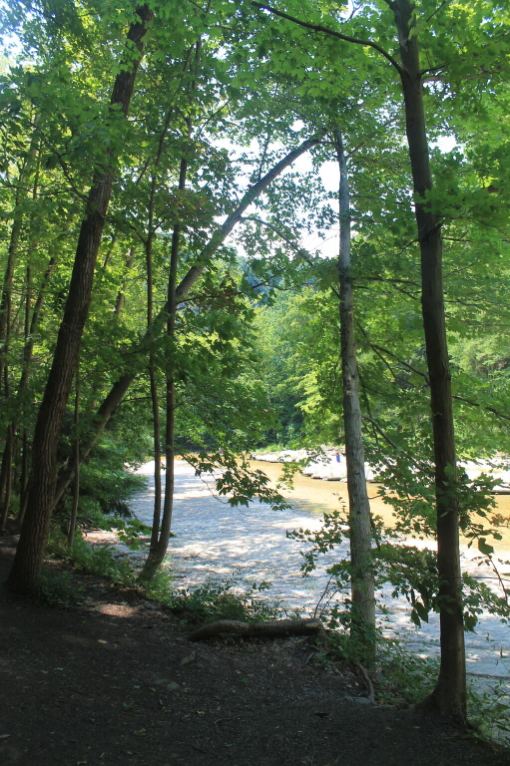 Photo: Taughannock Creek Photo: Taughannock Creek