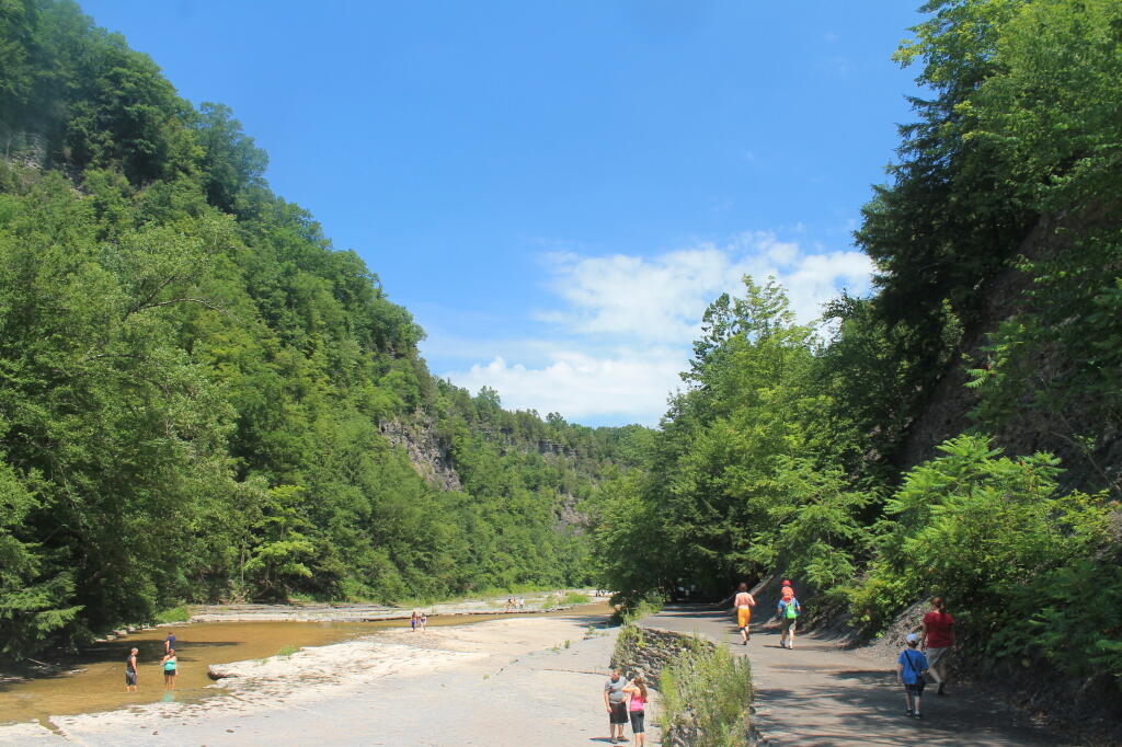 Photo: Swimming in the River