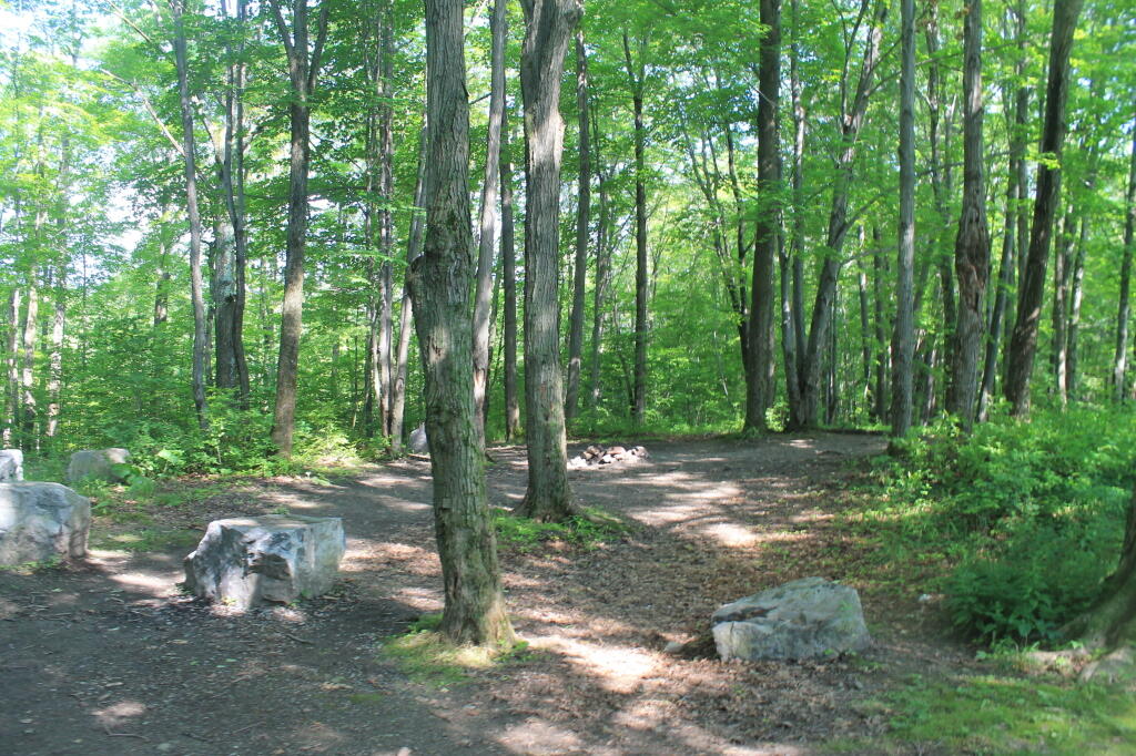 Photo: Tent Campsite on Gorge Road Photo: Tent Campsite on Gorge Road