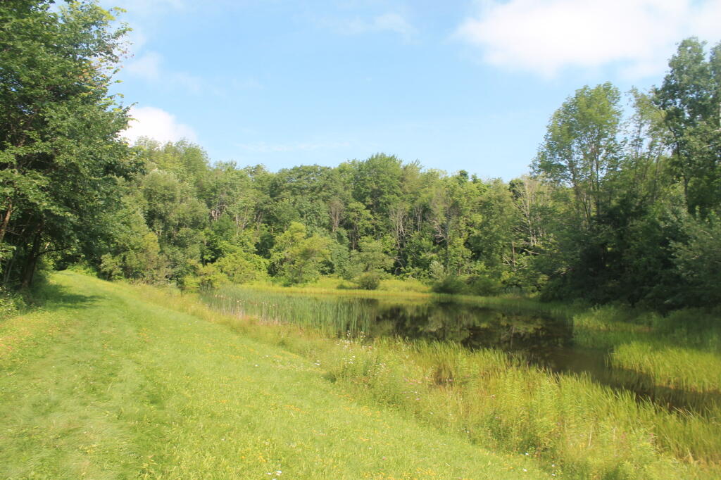 Photo: Gorge Ponds