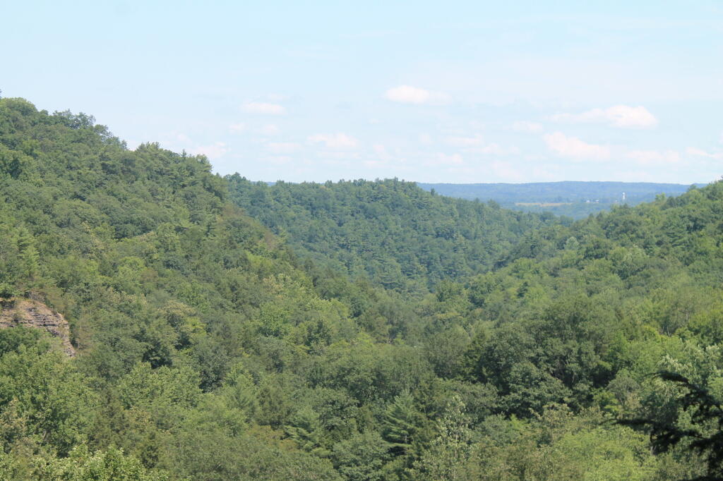 Photo: Enfield Glen as Seen from Above the Stairs