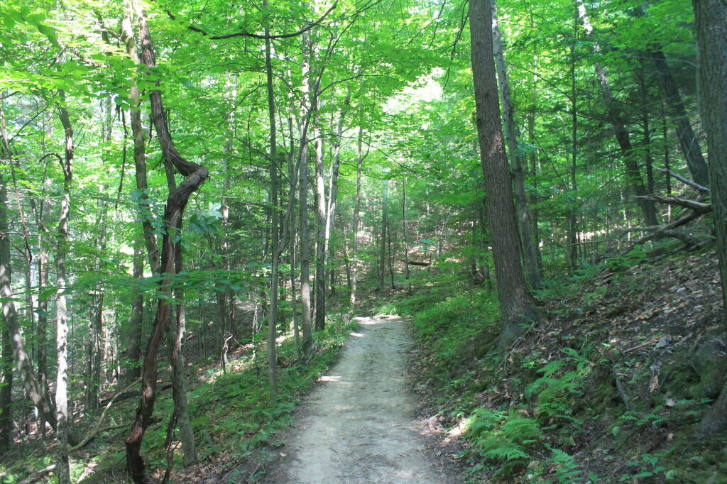 Photo: Hiking Along Rim Trail