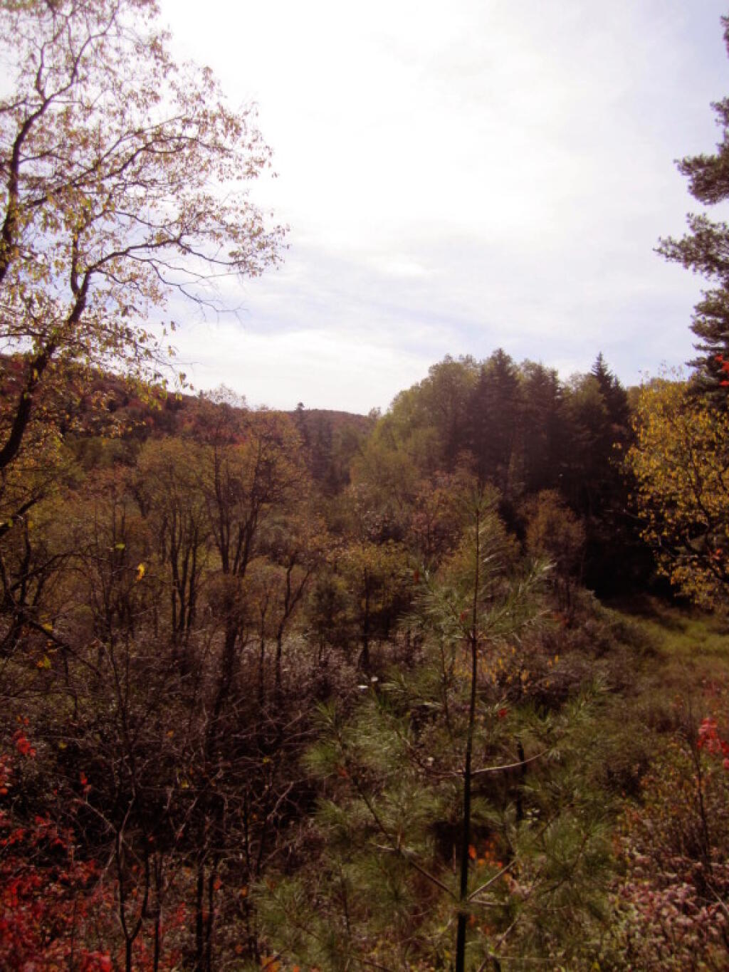 Photo: Otter Creek Winds In the Gorge Below