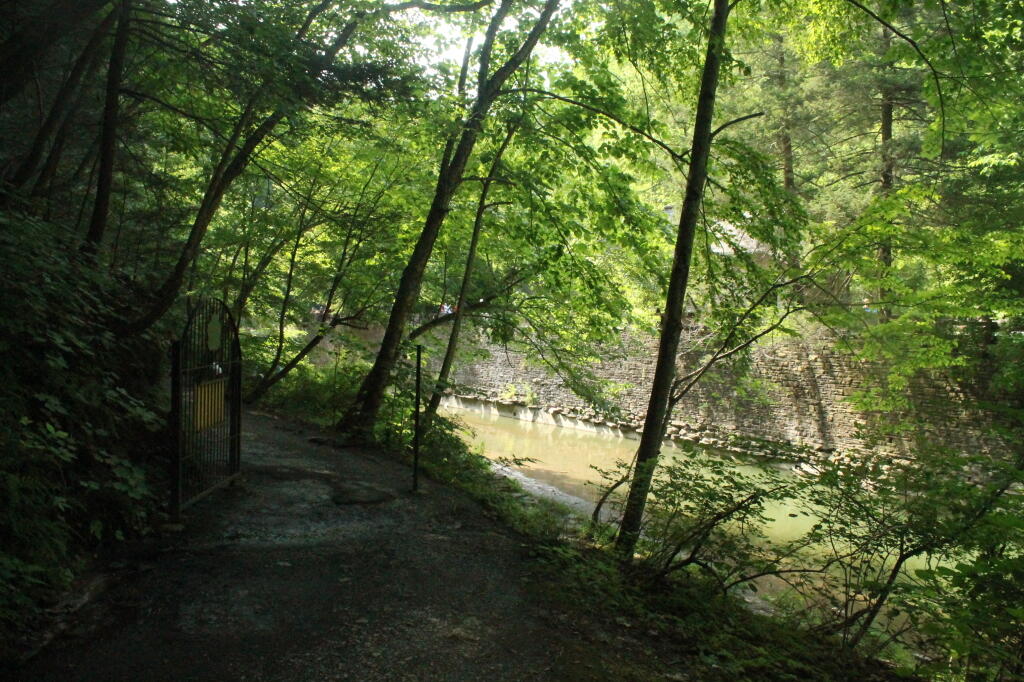 Photo: Enfield Creek Below the Pool