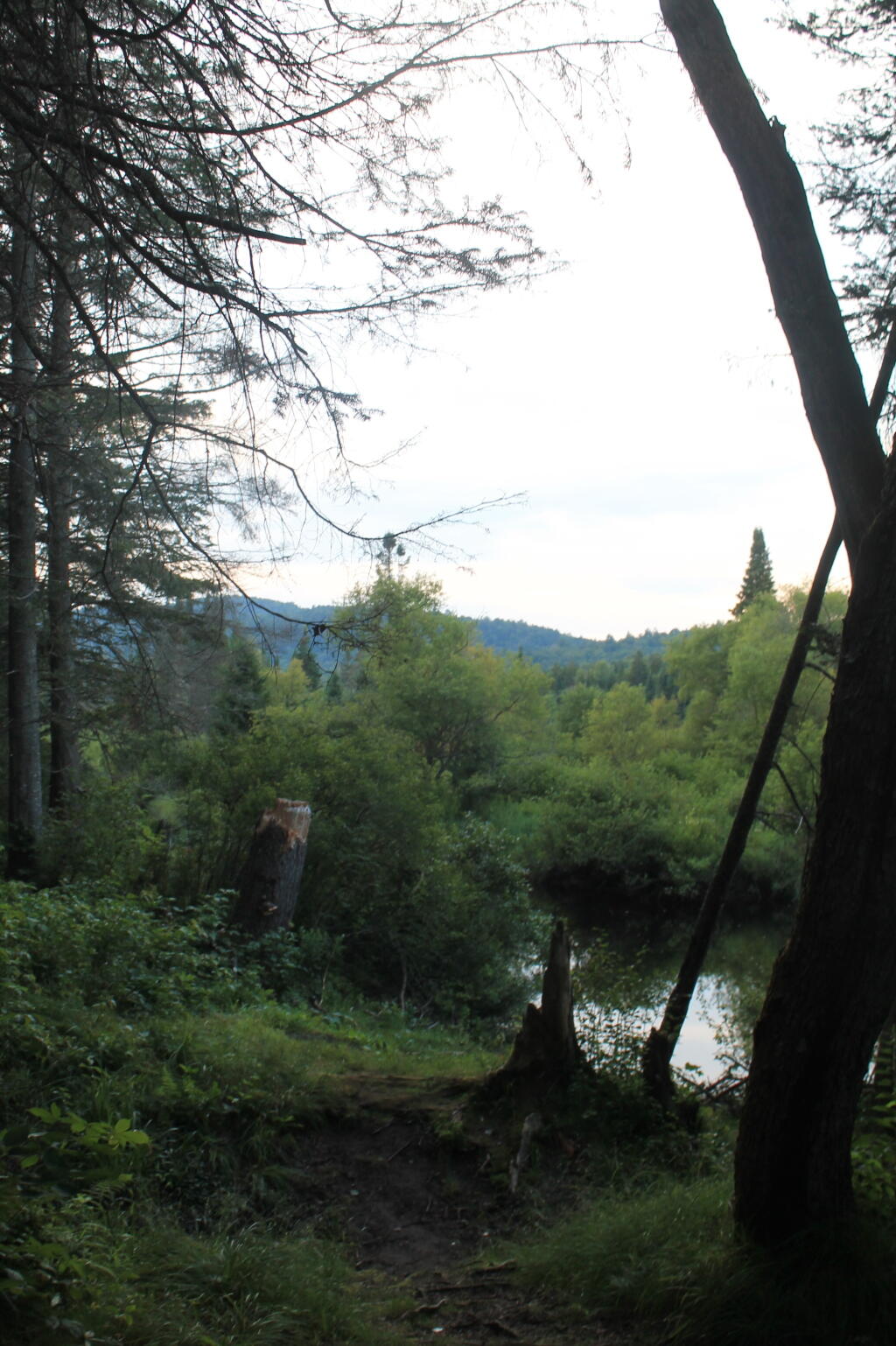 Photo: West Branch of East Canada Creek
