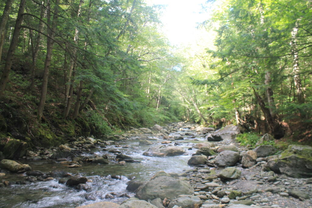 Photo: Pleasant day Photo: Pleasant day