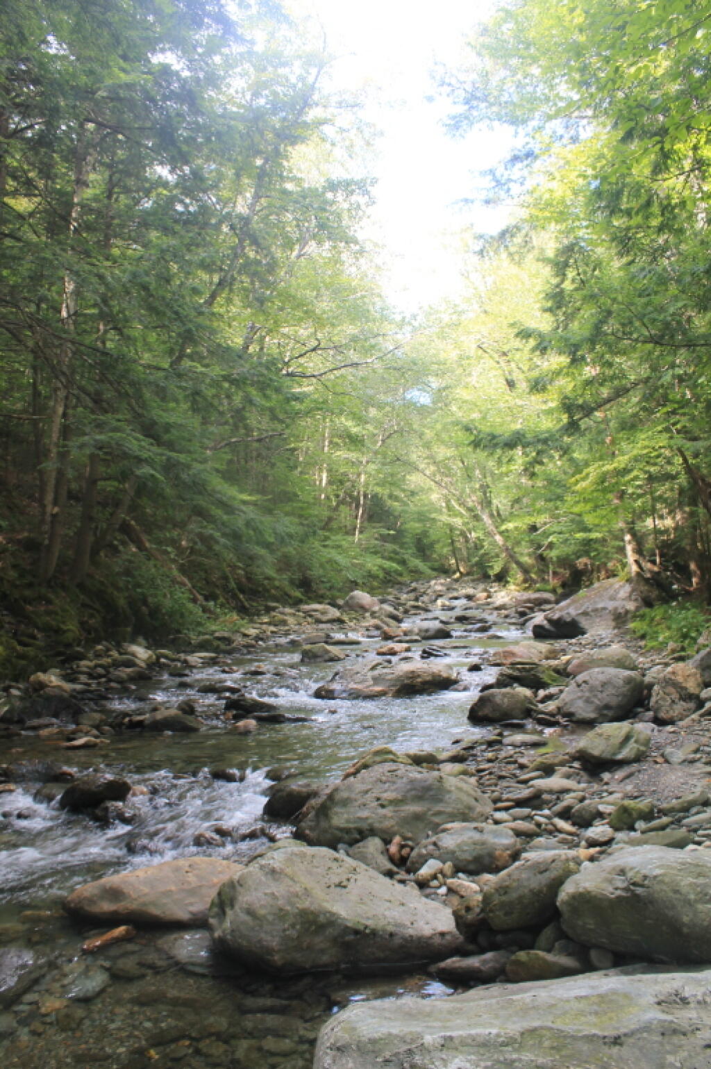 Photo: Upstream on the White River