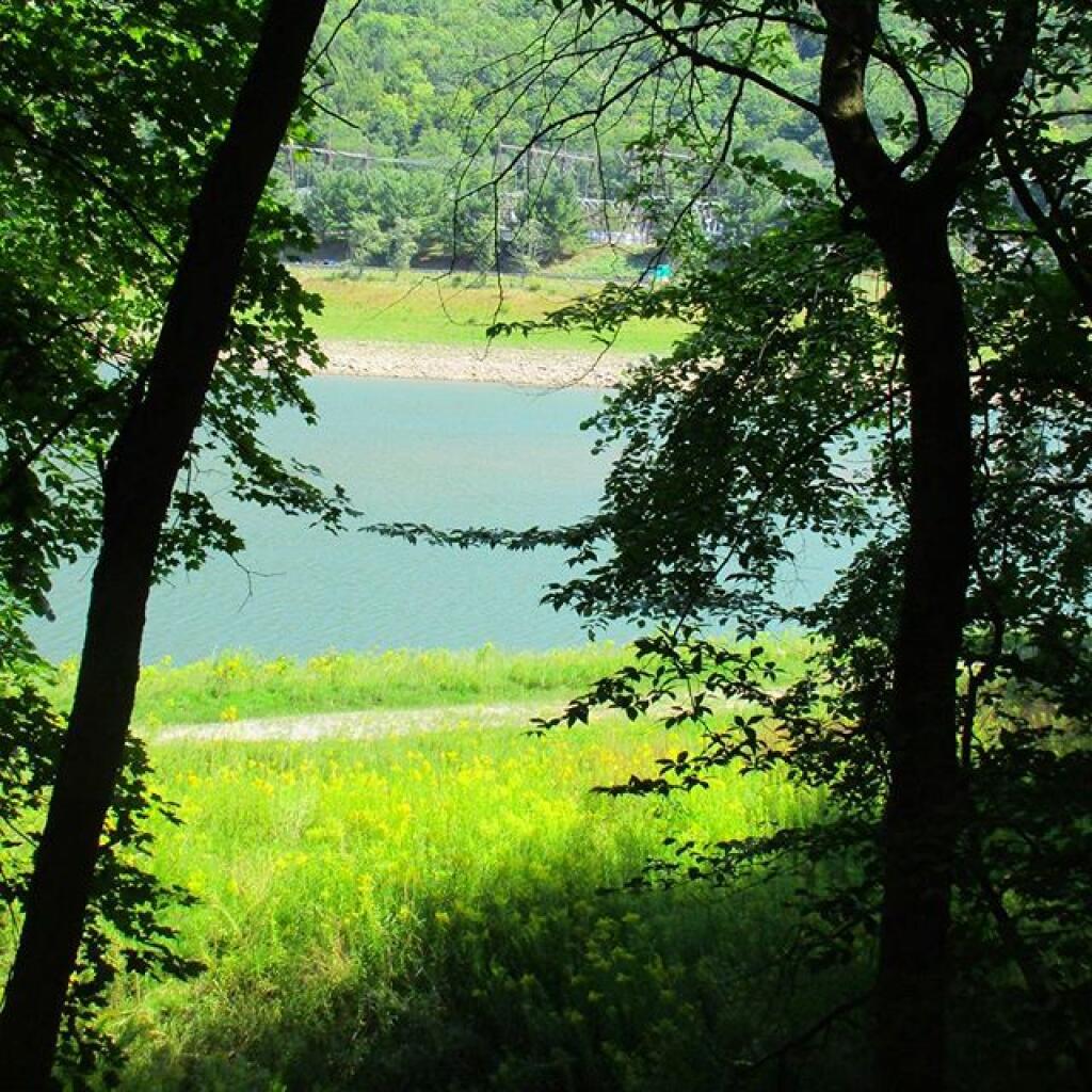 Photo: Schoharie Creek