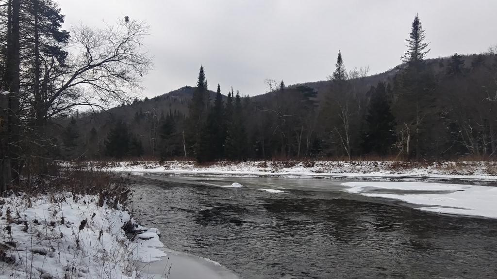Photo: East Branch Sacandaga River