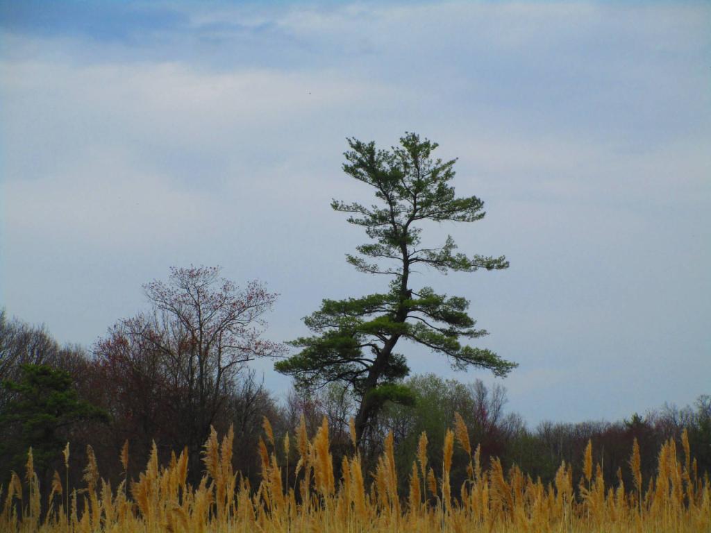 Photo: Untitled