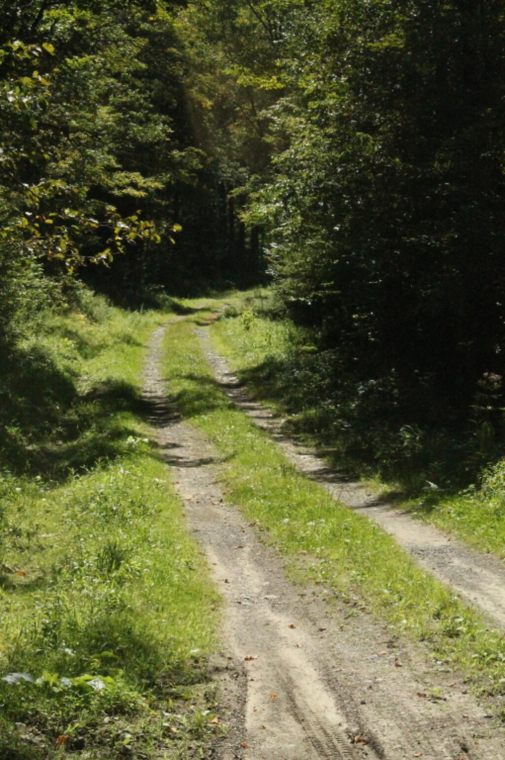 Photo: Betty Brook Road 2 Photo: Betty Brook Road 2