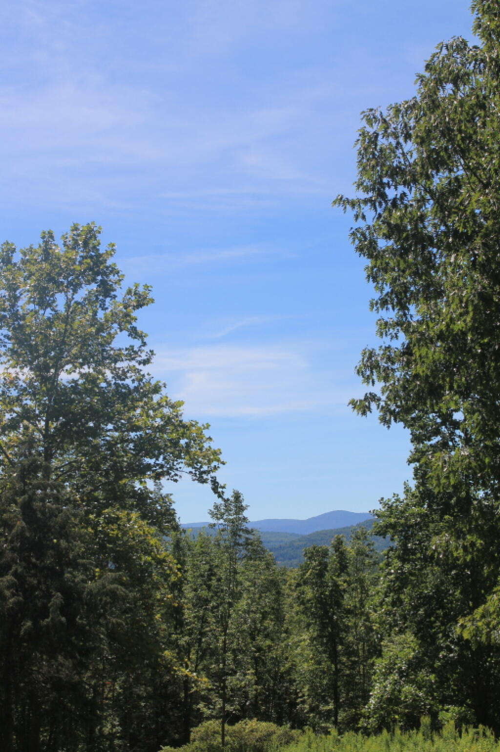 Photo: Bearpen Mountain from Mine Kill Photo: Bearpen Mountain from Mine Kill