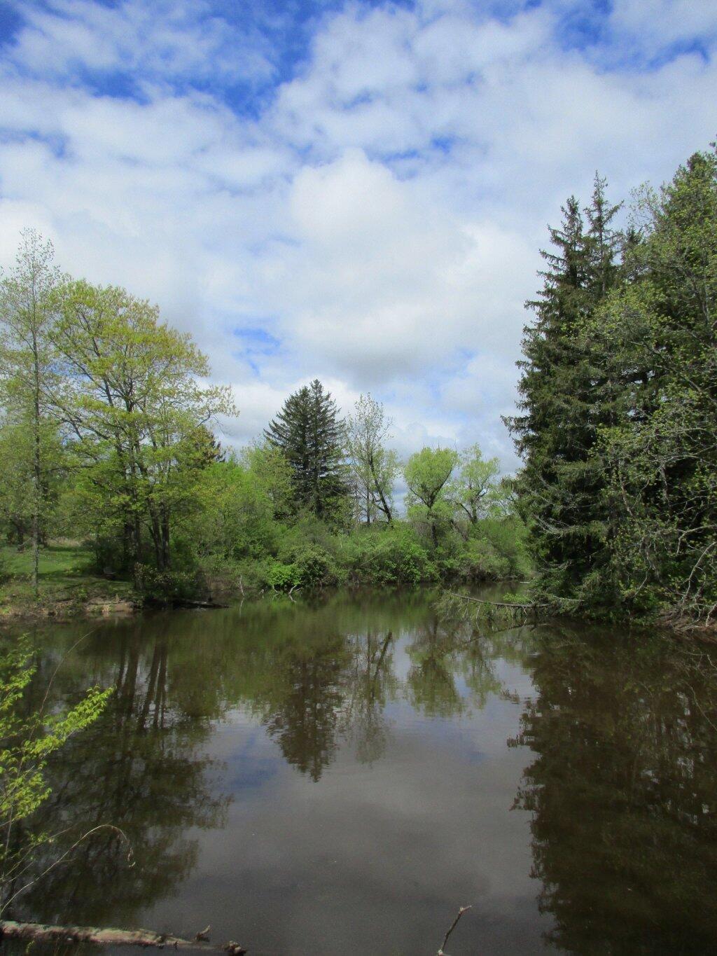 Photo: Pond