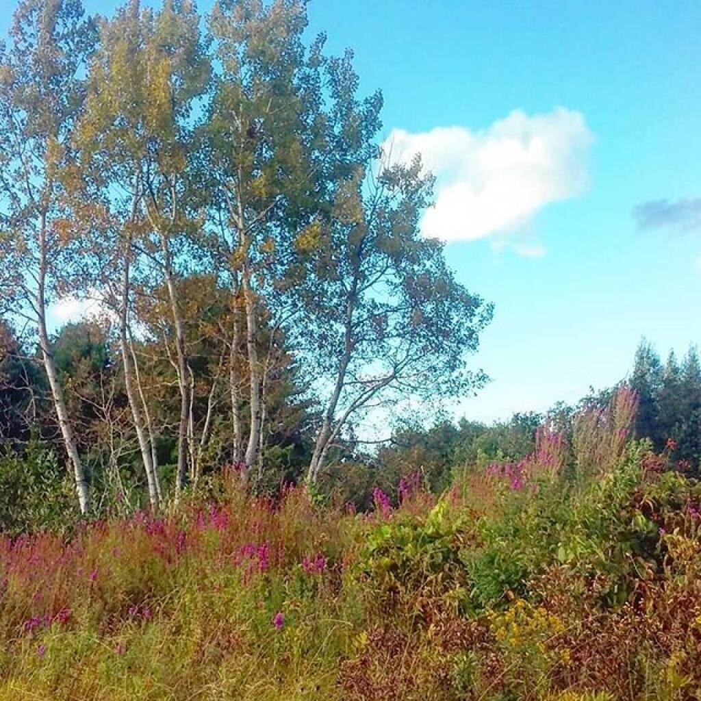 Photo: Hints of autumn