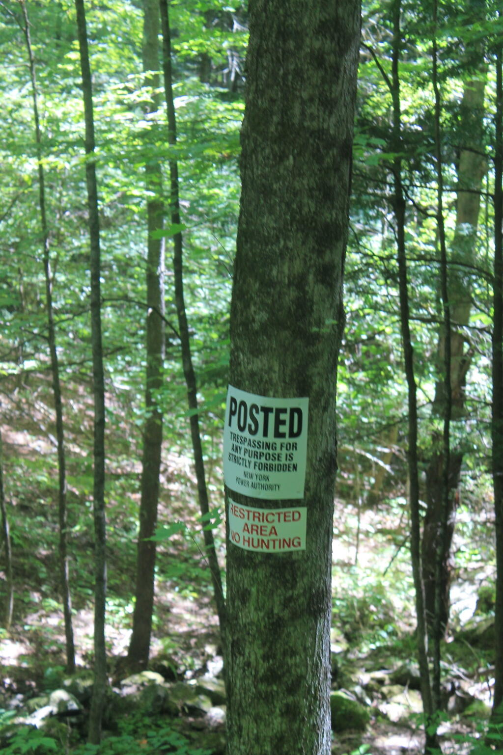 Photo: NYPA Posted Sign