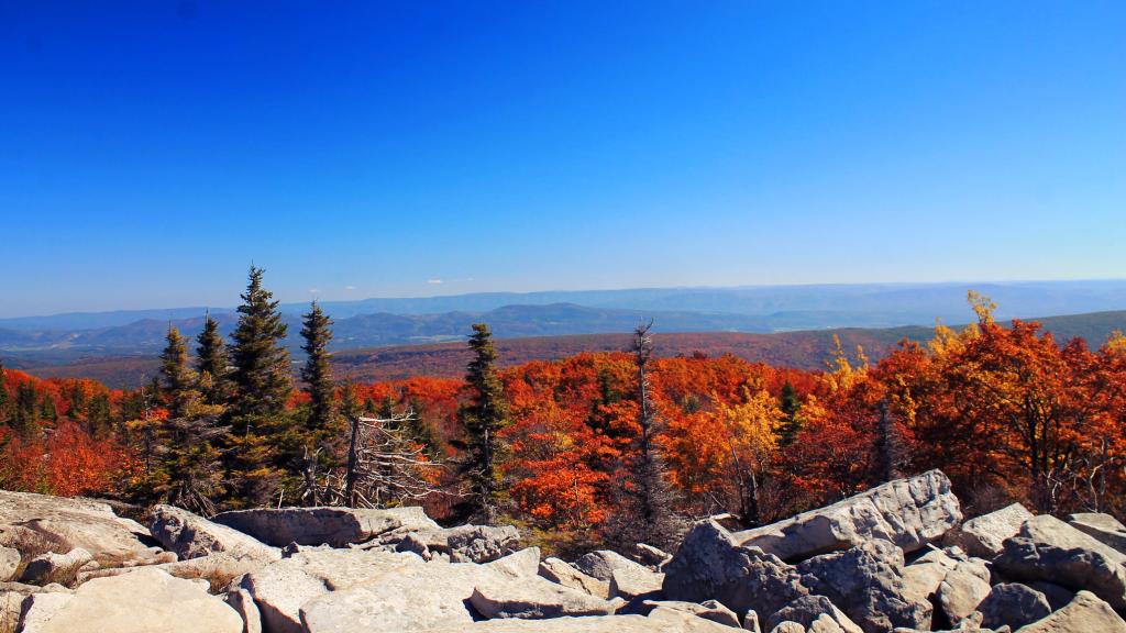 Photo: East from Bear's Rocks