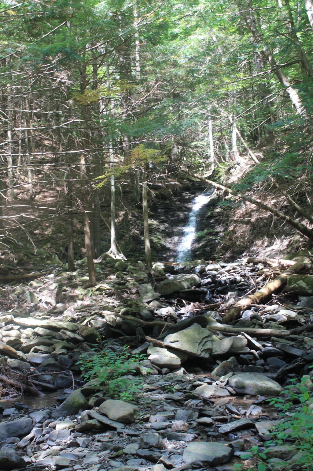 Photo: Small Waterfall Photo: Small Waterfall