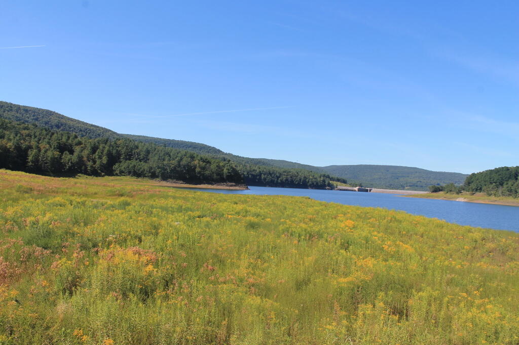 Photo: Blenheim Lower Reservior