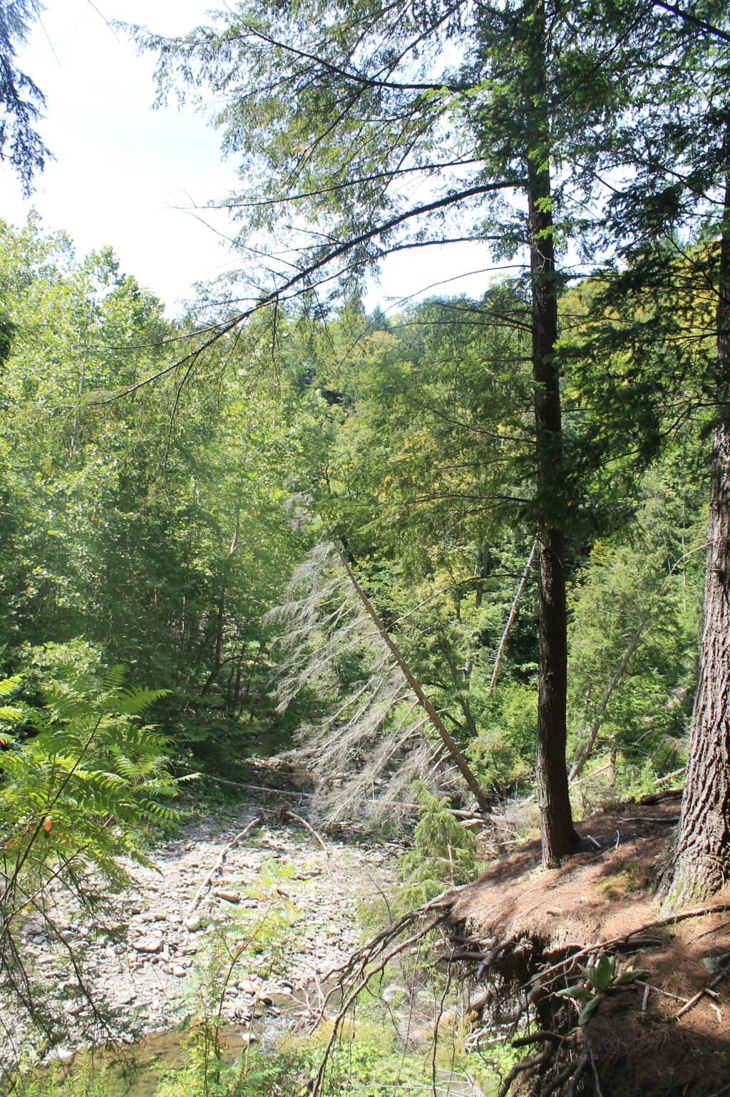 Photo: Mine Kill Gorge