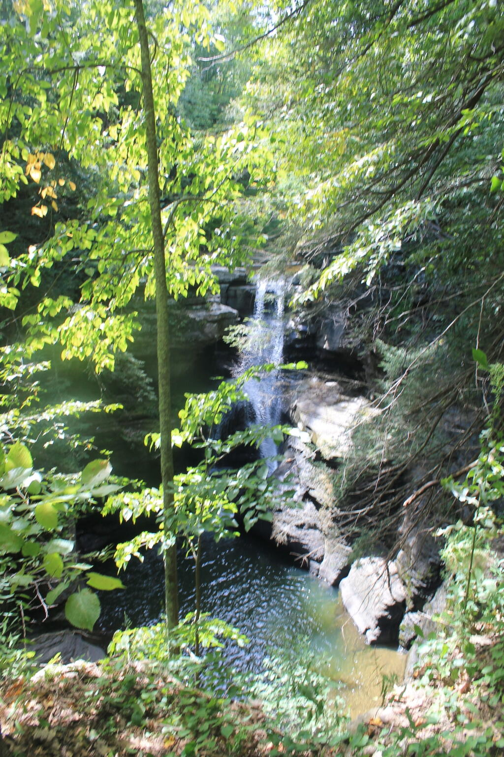 Photo: Middle Falls from Long Path Photo: Middle Falls from Long Path