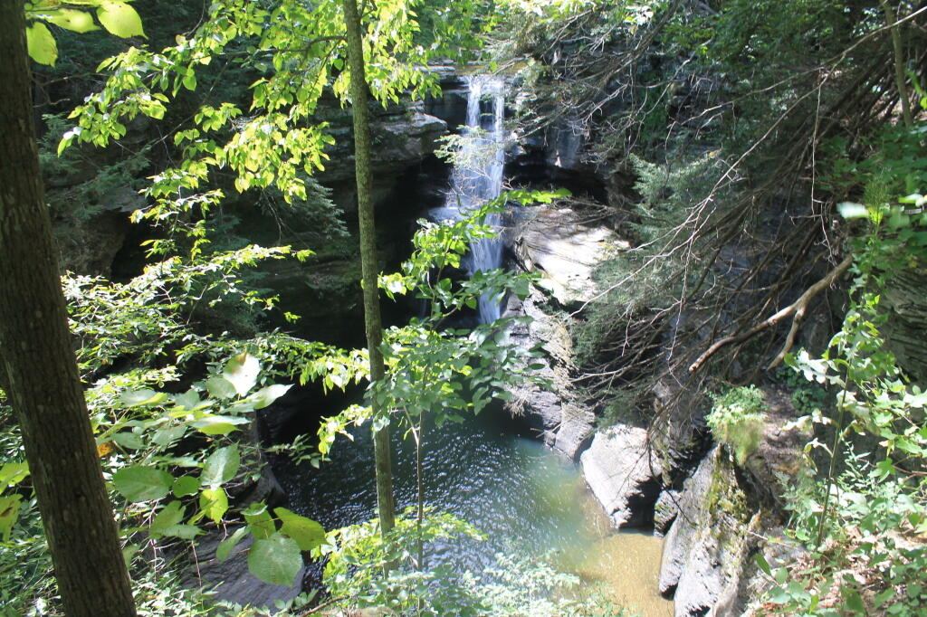 Photo: Secret Little Pool as Seen from Long Path
