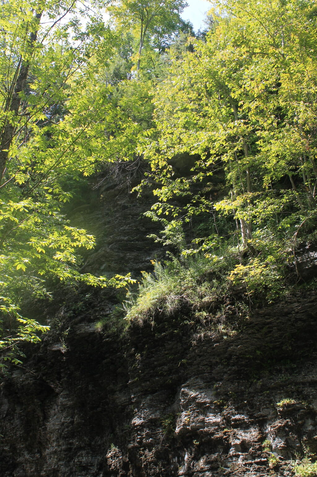 Photo: Cliffs Over Mine Kill