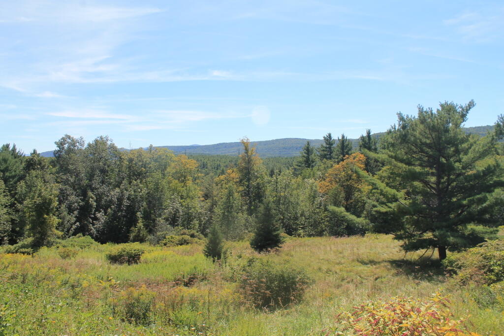 Photo: Wild Lands in Northern Catskills
