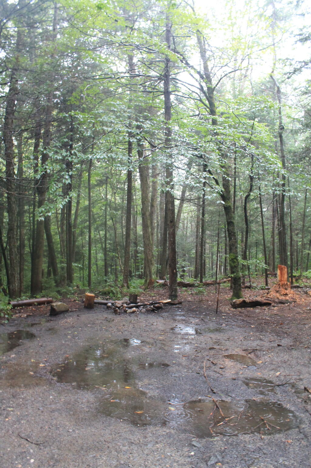 Photo: Roadside Campsite