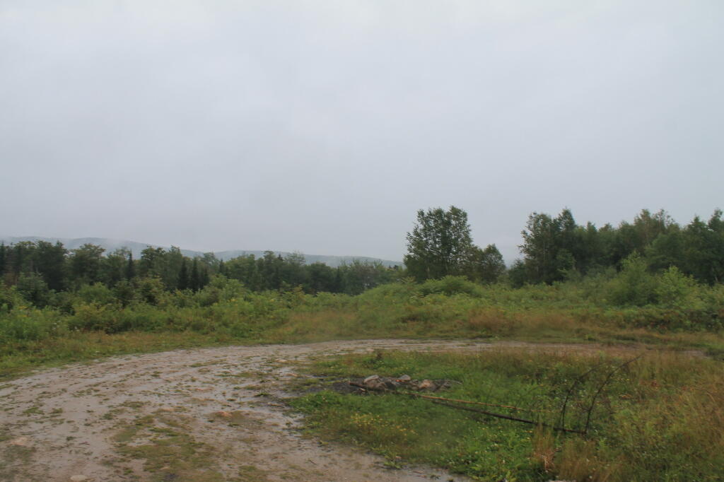 Photo: Large Roadside Campsite Photo: Large Roadside Campsite
