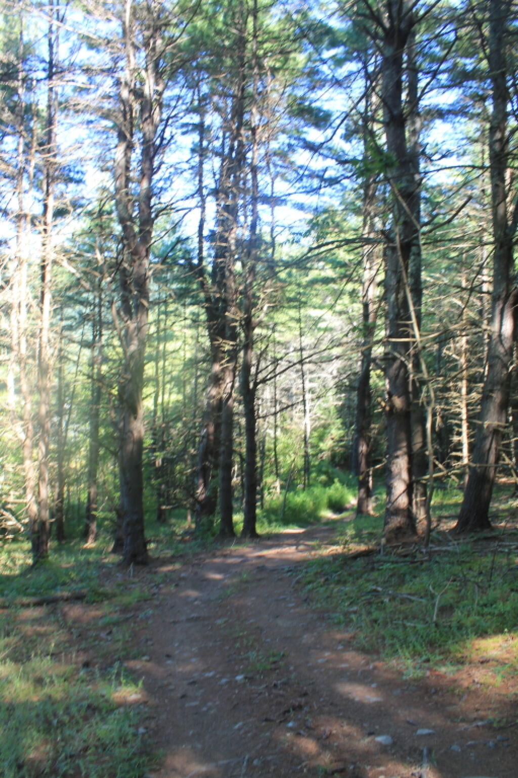 Photo: Trail Along the Reservior