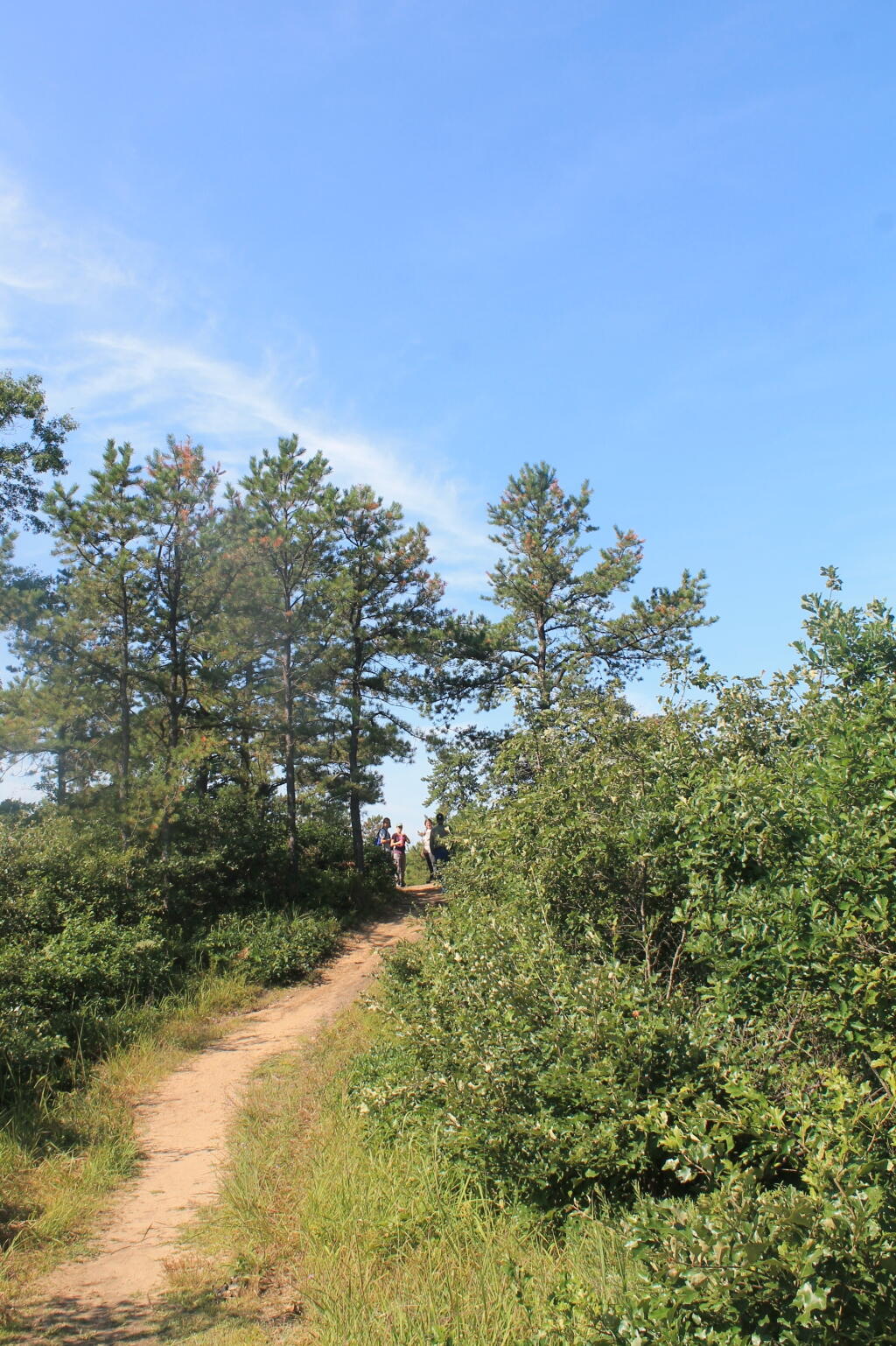 Photo: Small Dune Near Overlook Dune