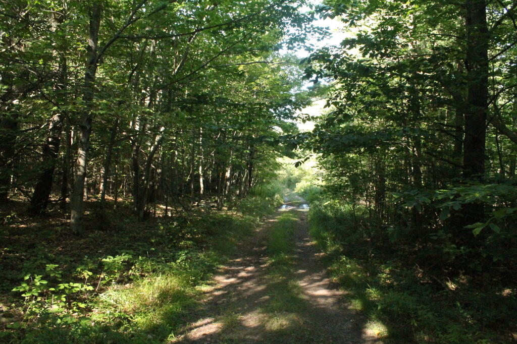 Photo: Rivenburg Snowmobile Trail Loop