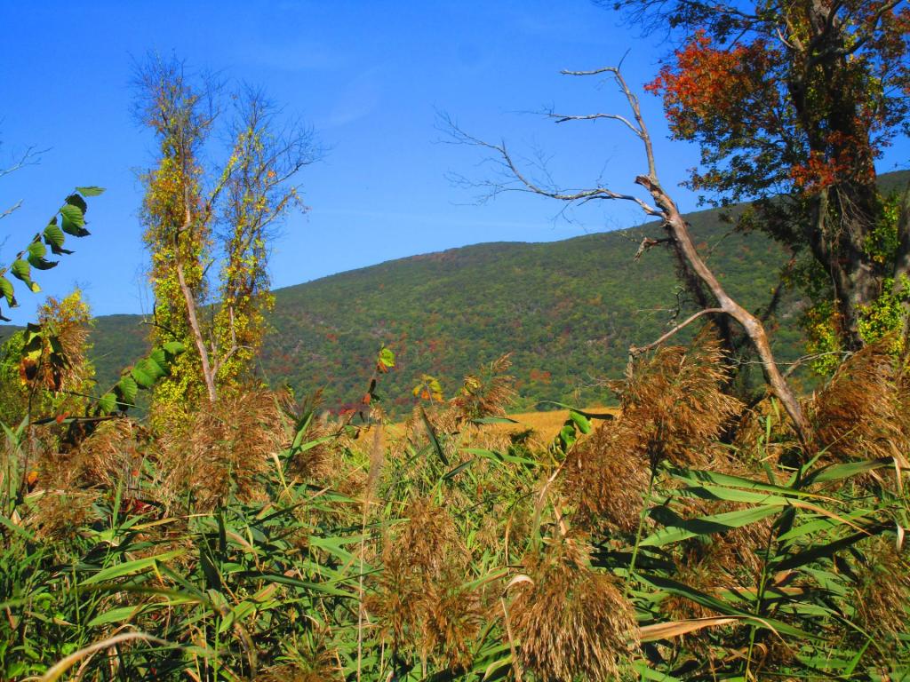 Photo: Field
