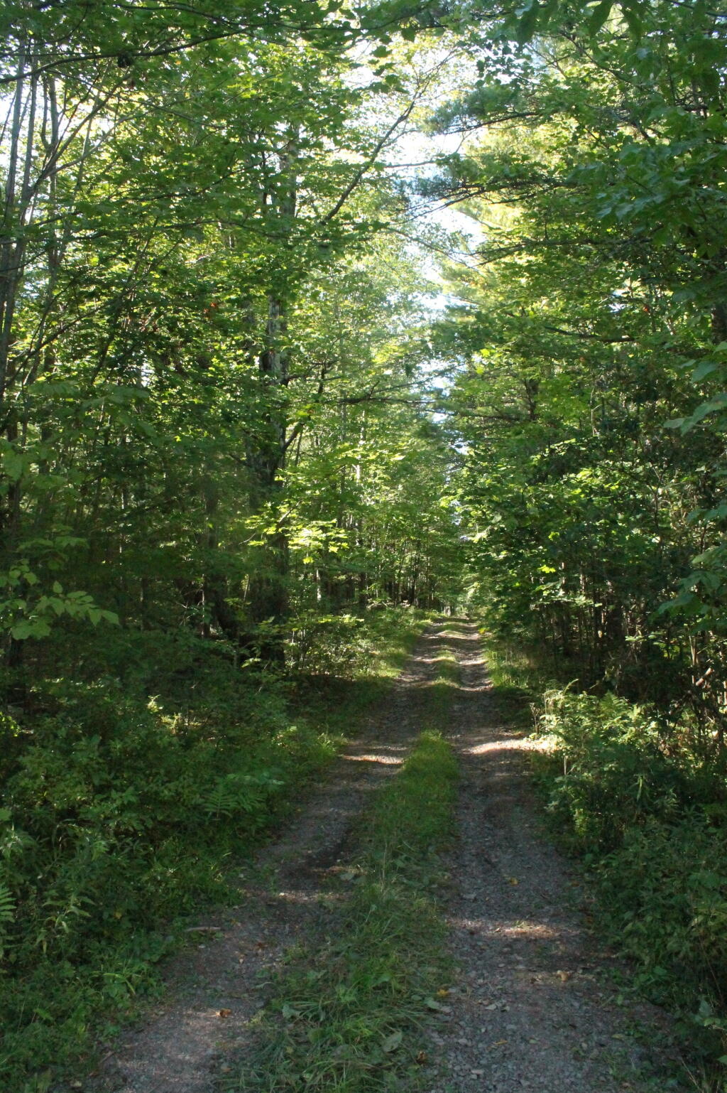 Photo: Rivenberg Road Photo: Rivenberg Road