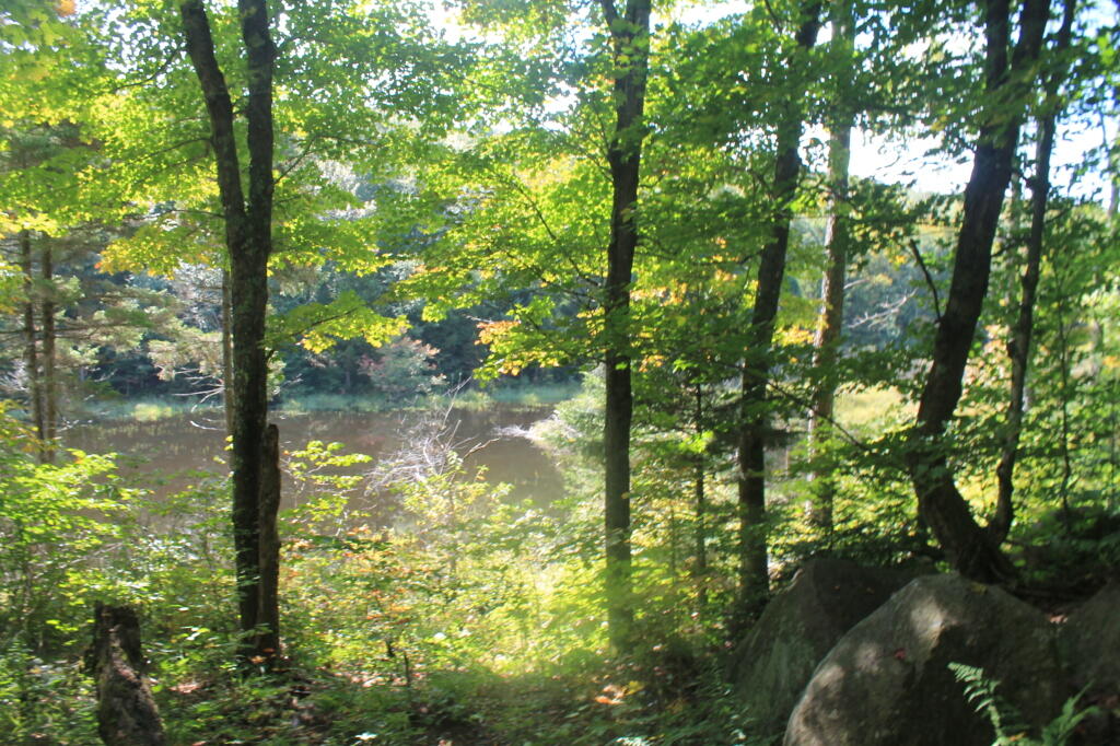 Photo: Small Pond on the Way to Mitchell Ponds