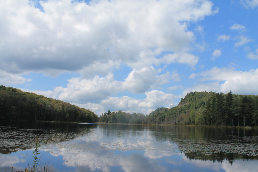 Photo: Lower Pond from the Dock