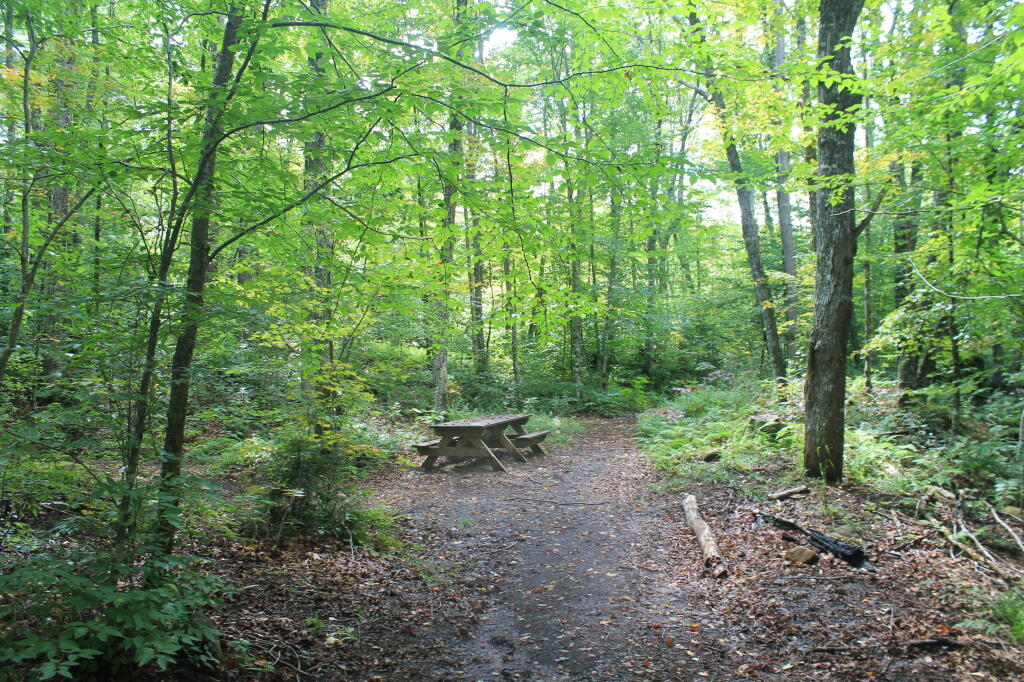 Photo: Mitchells Pond Accessiable Campsite